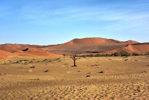 Hidden Vlei, Namibia photo