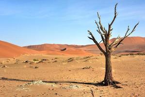 Hidden Vlei, Namibia photo