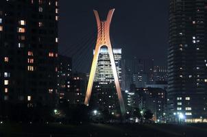 puente chuo ohashi y río sumida por la noche en japón foto