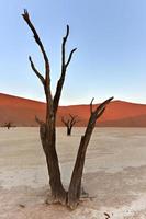 Dead Vlei, Namibia photo