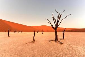 Dead Vlei, Namibia photo