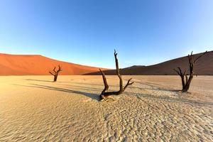 Dead Vlei, Namibia photo