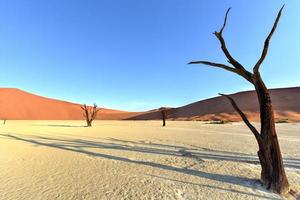 Dead Vlei, Namibia photo