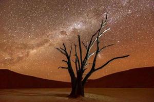 dead vlei, namibia foto