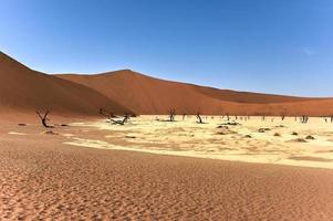 Dead Vlei, Namibia photo