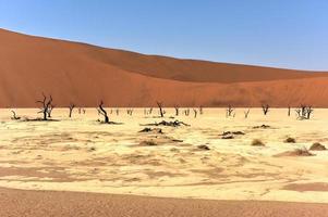 Dead Vlei, Namibia photo