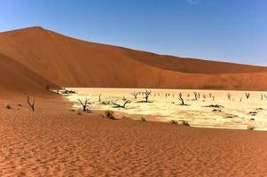 Dead Vlei, Namibia photo