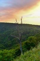 Sunset along the Shenandoah Valley and Blue Ridge Mountains from Shenandoah National Park, Virginia photo