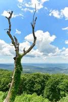 View of the Shenandoah Valley and Blue Ridge Mountains from Shenandoah National Park, Virginia photo