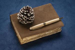 retro leather-bound journal with a frosty cone