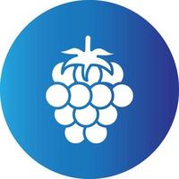 Raspberry  Creative Icon vector