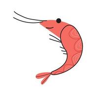 funny smiling shrimp on an isolated background vector