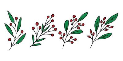 Hand drawn branch with berries clipart. Christmas doodle set. Winter design elements vector