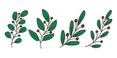 Hand drawn branch with berries clipart. Christmas doodle set. Winter design elements vector