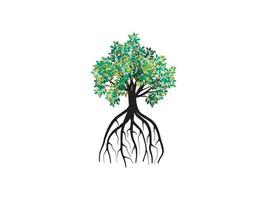 beautiful mangrove tree illustrations vector