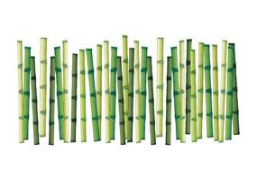 groups of bamboo pole isolated on white vector