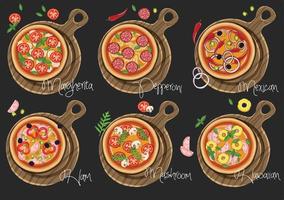 conjunto de pizzas con varios rellenos. ilustración. vector