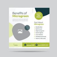 Microgreen Benefit Social Media Post Design and Microgreen plantation company banner Template vector