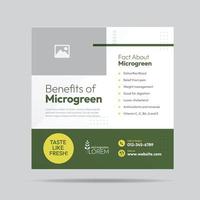 Microgreen Benefit Social Media Post Design and Microgreen plantation company banner Template vector