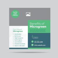 Microgreen Benefit Social Media Post Design and Microgreen plantation company banner Template vector