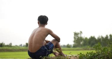 Back view of young farmer without shirt sitting on the ground and looking over his rice fields, He wiped away sweat off his brow video