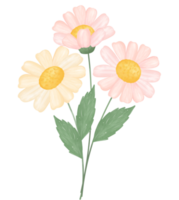 söt daisy blomma vattenfärg illustration png