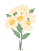 carino margherita fiore acquerello illustrazione png