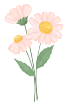 cute daisy flower watercolour illustration png