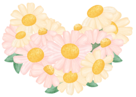 söt daisy blomma vattenfärg illustration png