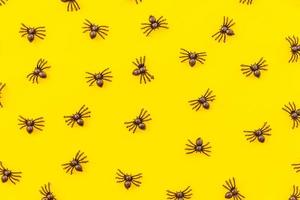 Halloween minimal decorations, composition with many black spiders isolated on yellow background. Halloween celebration trick or treat concept. Flat lay top view pattern. photo