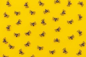 Halloween minimal decorations, composition with many black spiders isolated on yellow background. Halloween celebration trick or treat concept. Flat lay top view pattern. photo