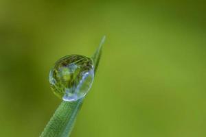 Exciting macro of a drop on green leaf. Blurred background photo