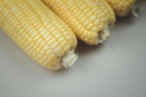 mazorcas de maíz frescas, primer plano