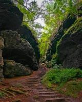 Narrow hiking path in the forest photo