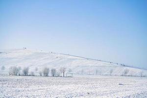 paisaje invernal con árboles al borde de un campo cubierto de nieve. paisaje de invierno foto