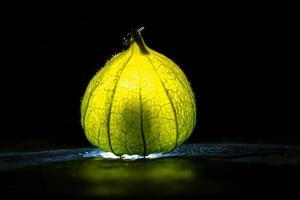 physalis en suelo húmedo negro. fruta iluminada. fruta rica en vitamina c. fondo negro foto