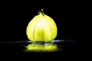 Physalis on black wet soil with black background. Illuminated fruit. Vitamin C photo