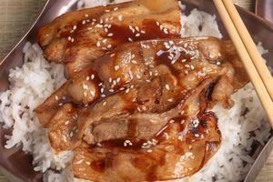 Pork Sliced Rice tonkatsu or deep fried pork, a traditional Japanese dish. photo