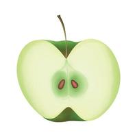 green apple cut in half on white background vector