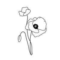 Line Wildflowers, poppy flowers. Isolated vector plants in outline style