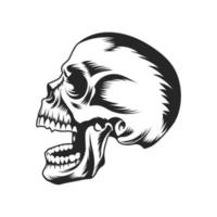 skull vector design