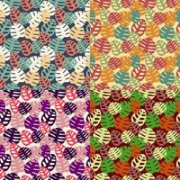 Four Colorful Seamless Monstera Pattern vector