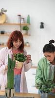 Young women make arrangements with plants video