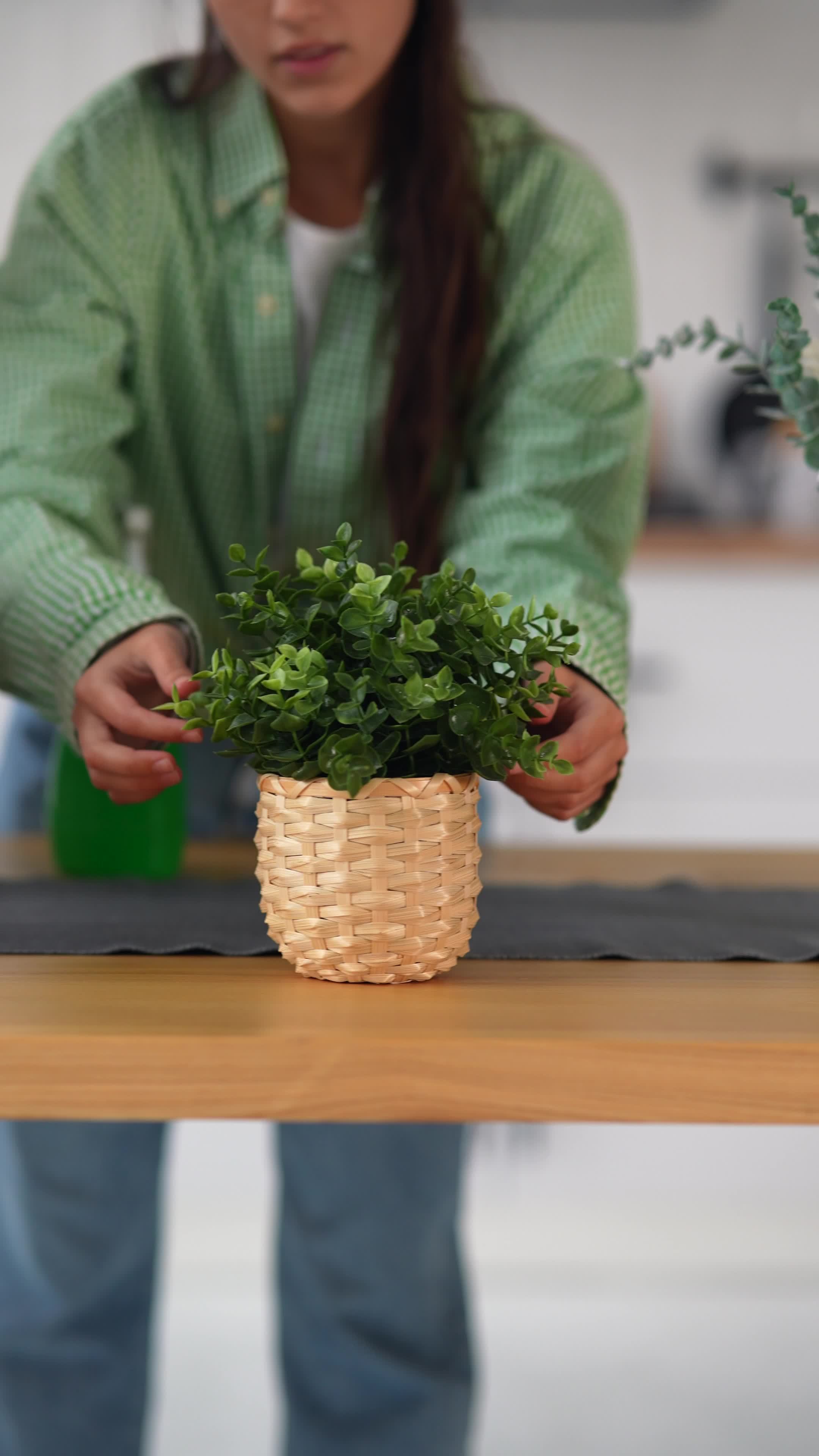 Young women make arrangements with plants 16026588 Stock Video at Vecteezy
