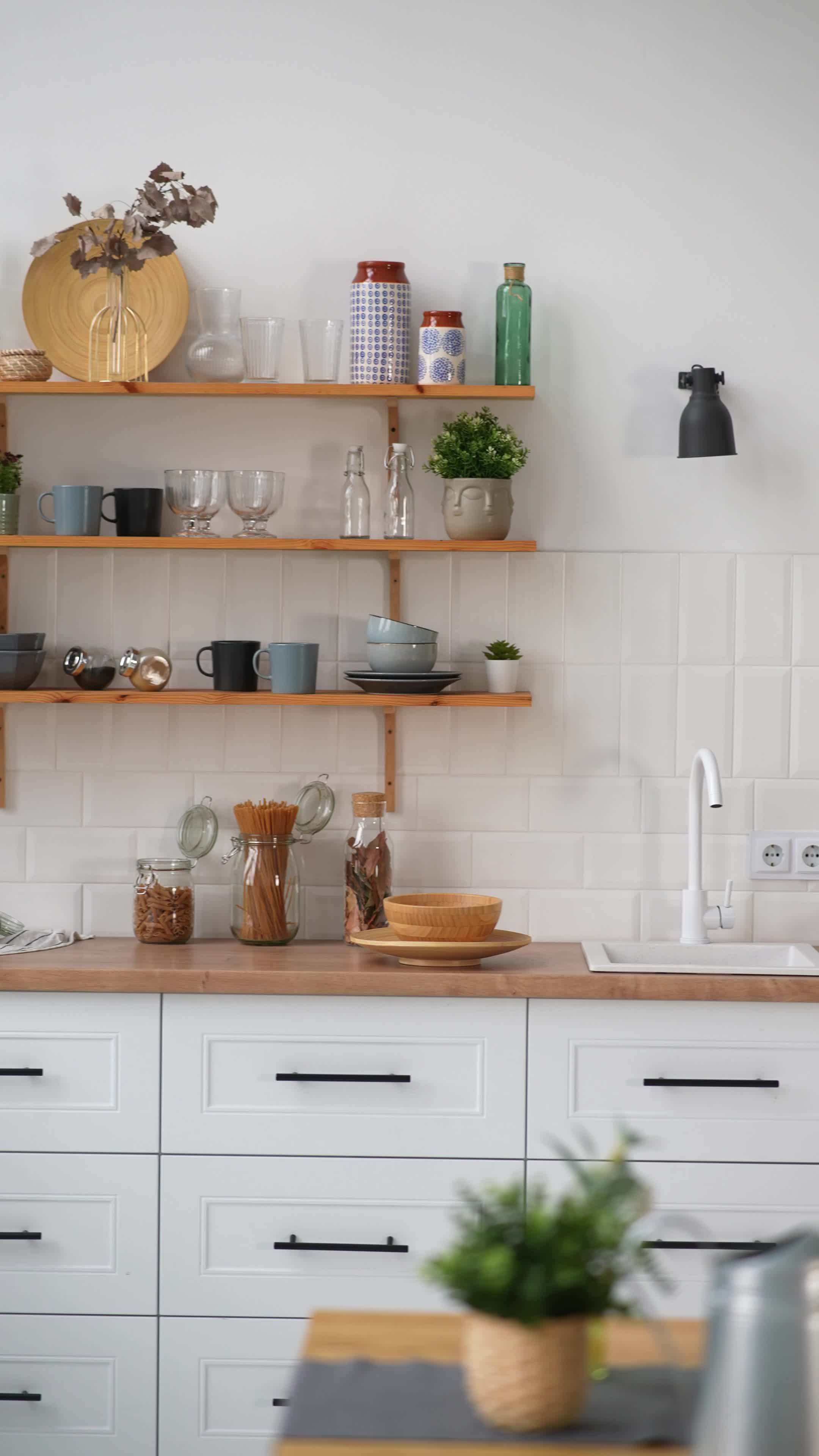 Young women make arrangements with plants 16026589 Stock Video at Vecteezy