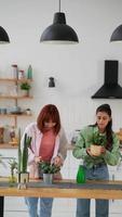 mulheres jovens fazem arranjos com plantas video