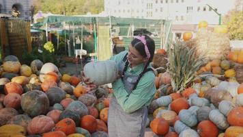 Frau betrachtet Kürbisse auf dem Herbstmarkt video