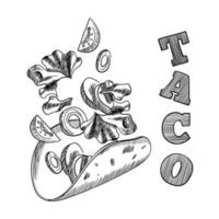 taco dibujado a mano. ilustración de estilo boceto del taco constructor. ingredientes voladores. trozos de carne, aros de cebolla, tomate, pepino, frijol, tortilla. diseño elegante con ilustración de boceto. vector. vector