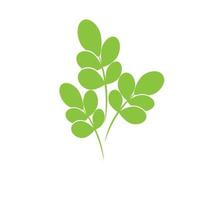 Moringa Leaf Logo Template Vector Symbol Nature