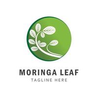 Moringa hoja logo plantilla vector símbolo naturaleza